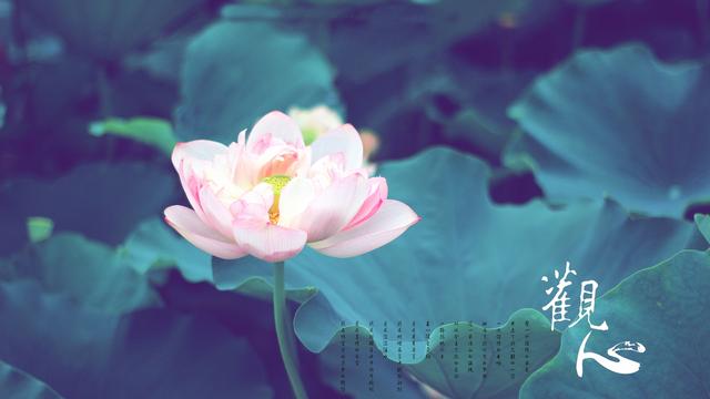 南无第三世多杰羌佛_从心出发