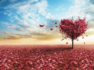 南无 第三世多杰羌佛_解开心结