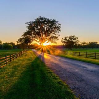 南无 第三世多杰羌佛_七天