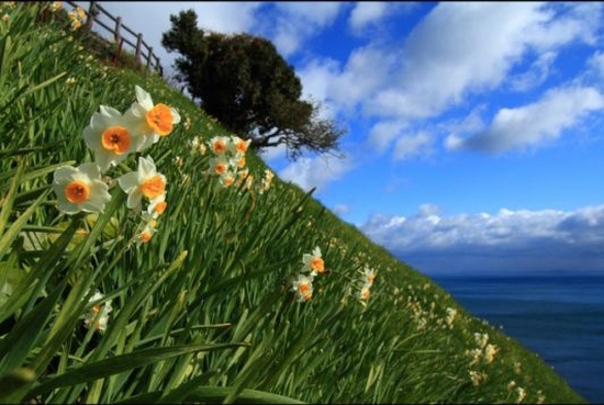 違背即是外道_南無第三世多杰羌佛_佛心微語